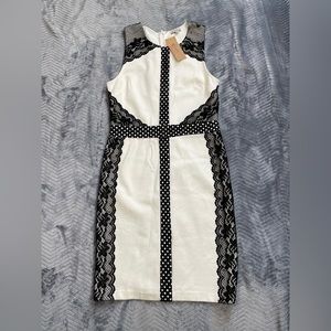 NWT Cremieux Devon Knit Sheath Dress Cream With Black Lace XS